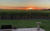 large backyard