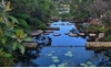 Sydney Park 