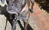Lucy
