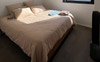 Master bed room - no furniture included 