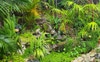 Relaxing garden