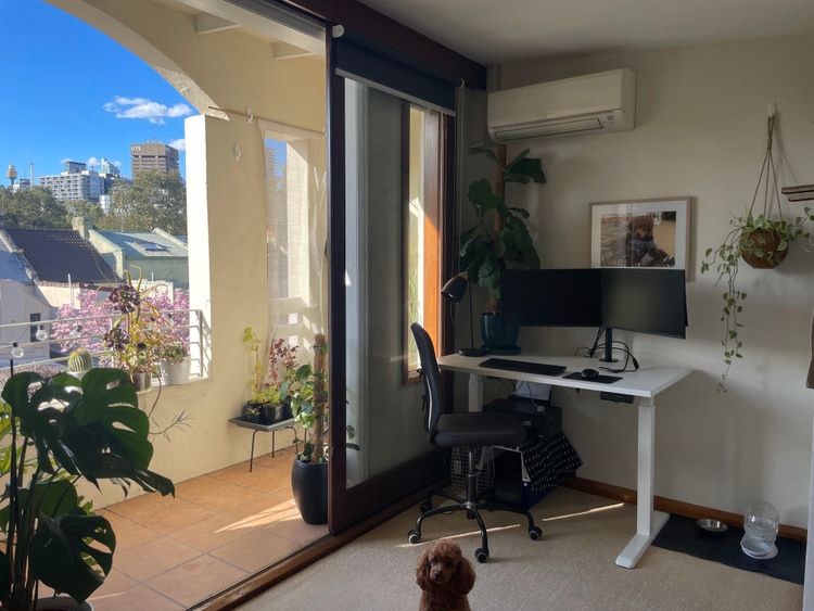 Share house Darlington, Sydney 525pw, 3 bedroom house