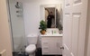 Bathroom. Plants love it in there.