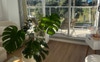 So much light everywhere..