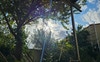Part of the garden 
