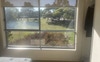 View from master bedroom
