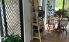 Features lots of indoor plants 