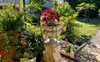 Garden with urn