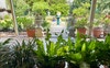 Alfresco looking to garden (b)