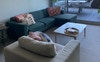 Comfy lounge area