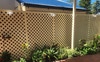 Back garden