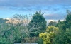 View from The East Room $350