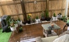 Back patio