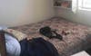 Room fits a queen bed and tall boy 