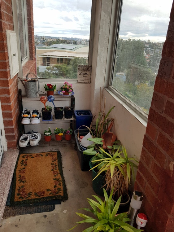 Share house Freshwater, Sydney 300pw, 2 bedroom apartment