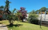 Back yard with rotary clothes hoist 