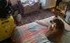 Bedroom A