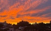 Rooftop view 
