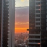 user-image