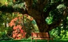 Surrounded by Gardens and Parks 