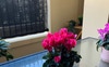 Large terrace