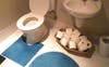 Shared bathroom 