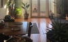 Living and dining room off open planed kitchen 