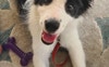 Betty 