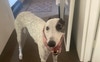 Betty