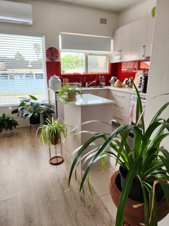 Share house Monterey, Sydney 375pw, 2 bedroom apartment