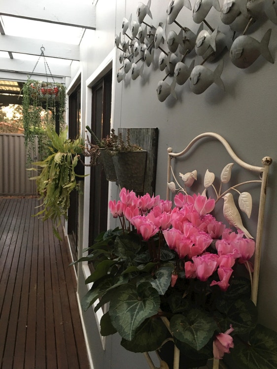 Share house Kaleen, Canberra and ACT 160pw, 4+ bedroom house