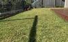 Private Garden