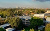 Rooftop Views