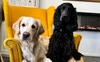 Sophie & Lilly