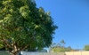 Large back yard/front also large