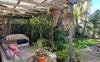 Leafy garden