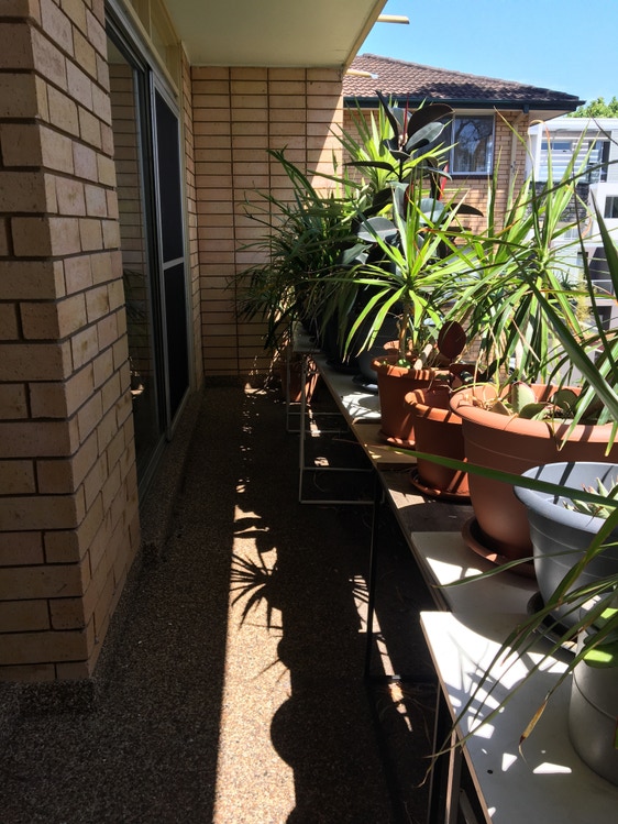 Share house Kingsford, Sydney 280pw, 2 bedroom apartment
