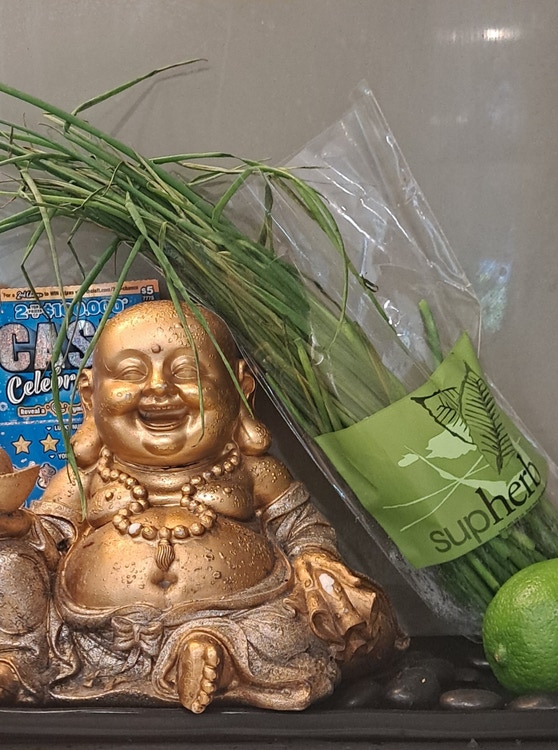 Share house Brunswick West, Melbourne 215pw, 2 bedroom apartment