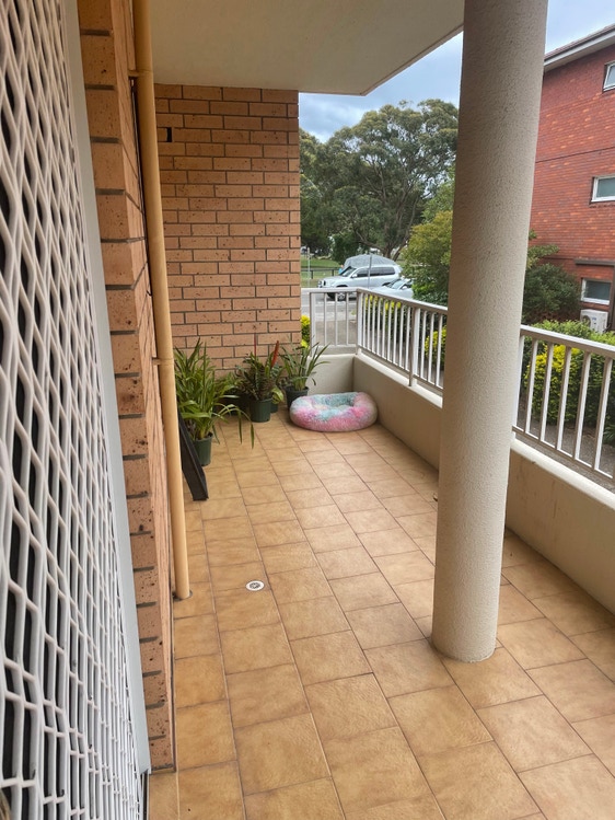 Share house Monterey, Sydney 220pw, 2 bedroom apartment