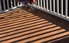 Back deck 