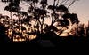 Sunset view from the bedroom 