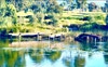 Sydney Park 
