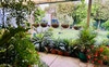 Garden looking out from alfresco (c)