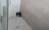 Shared bathroom 