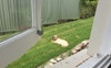 Luv da sun 2!