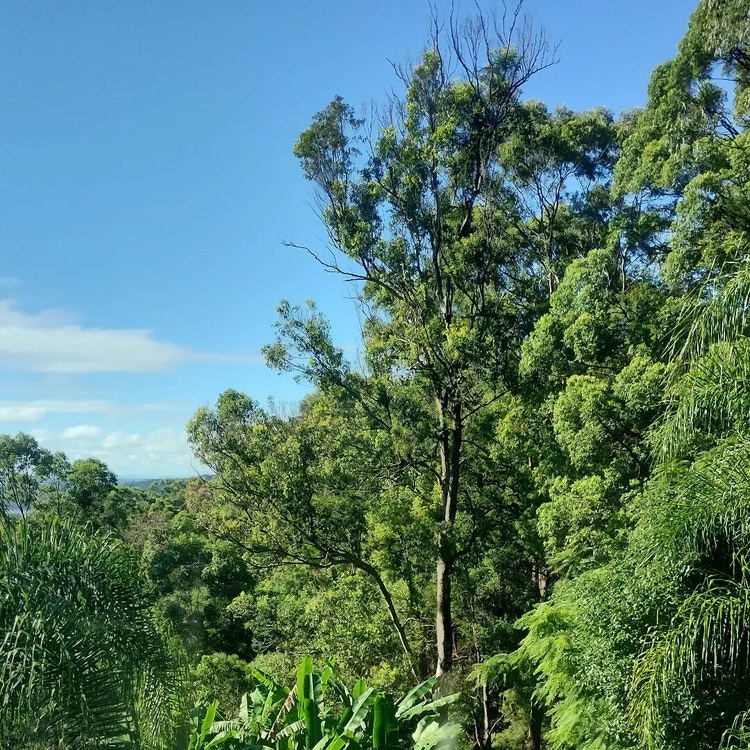 Share house Mooloolah Valley, Sunshine Coast 400pw, 2 bedroom house