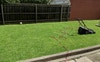 Well maintained backyard