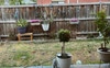 Outdoor area daytime