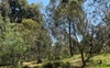 500m walk from the front door 
