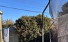 Sheds in backyard 